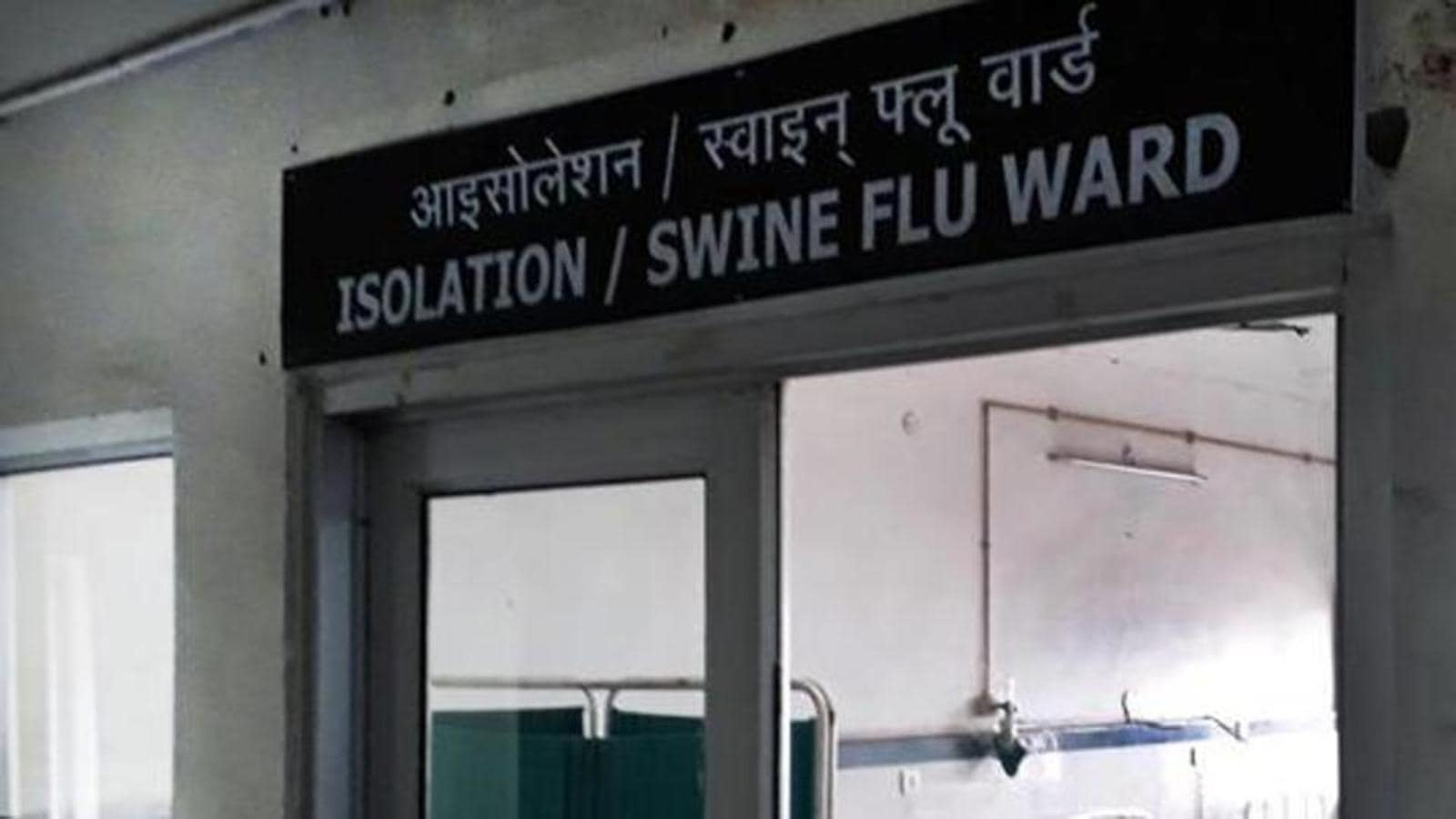 3 cases of swine flu in Bihar