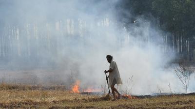 The special task force will ensure strict enforcement and regulatory measures to contain stubble burning in the upcoming paddy harvesting season in Punjab. (HT File Photo) The special task force will ensure strict enforcement and regulatory measures to contain stubble burning in the upcoming paddy harvesting season in Punjab. (HT File Photo)