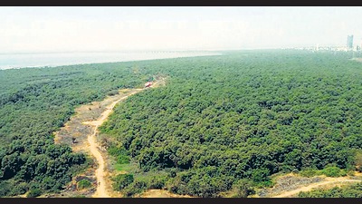 Forest and wildlife clearances have been granted since 1970s. Forest and wildlife clearances have been granted since 1970s.