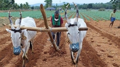 According to the survey, the average debt of a farm household increased by 58% to  ₹74,100 in 2018-19, from  ₹47,000 during 2012-13.