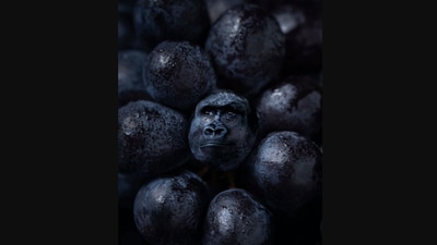 The image shows a creation by the artist. (Instagram/@ronnaldong)