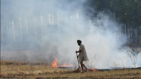 The special task force will ensure strict enforcement and regulatory measures to contain stubble burning in the upcoming paddy harvesting season in Punjab. (HT File Photo)