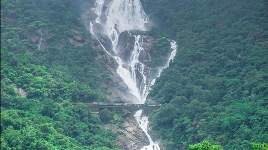 Dudhsagar Falls is a four-tiered waterfall located on the Mandovi River in the Indian state of Goa.(Shutterstock)