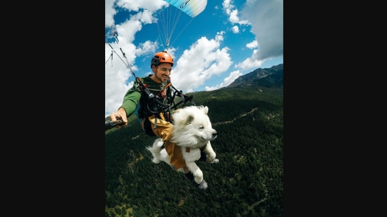 Dog and human paragliding together.(Instagram/@shamsfilmmaker)