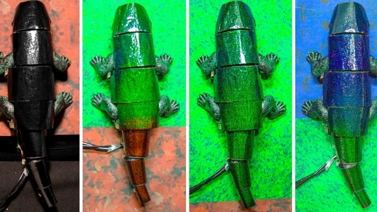 A chameleon robot covered with artificial skin changes its skin colour based on itssurroundings.&nbsp;(Reuters Photo)