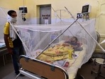 A dengue patient rests under a mosquito net in the dengue ward of a government hospital in Prayagraj. (AFP File Photo) A dengue patient rests under a mosquito net in the dengue ward of a government hospital in Prayagraj. (AFP File Photo)