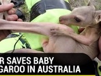 BIKER SAVES BABY KANGAROO IN AUSTRALIA