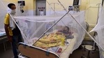A dengue patient rests under a mosquito net in the dengue ward of a government hospital in Prayagraj. (AFP File Photo) A dengue patient rests under a mosquito net in the dengue ward of a government hospital in Prayagraj. (AFP File Photo)