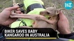 BIKER SAVES BABY KANGAROO IN AUSTRALIA BIKER SAVES BABY KANGAROO IN AUSTRALIA