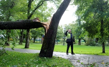 A city worker surveys the damage in Bannerman Park after Catagory 1 Hurricane Larry hit St. John's, Newfoundland, Canada (REUTERS) A city worker surveys the damage in Bannerman Park after Catagory 1 Hurricane Larry hit St. John's, Newfoundland, Canada (REUTERS)