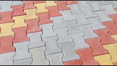 Interlocking tiles were laid on a private pathway at Salina village Moga district from public funds. After a lawyer alleged misuse of government money, Centre told the Punjab officials to conduct an inquiry. (HT photo)