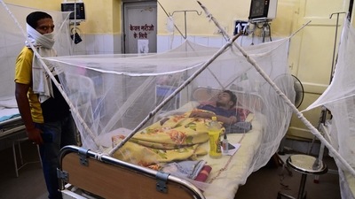 A dengue patient rests under a mosquito net in the dengue ward of a government hospital in Prayagraj. (AFP File Photo) A dengue patient rests under a mosquito net in the dengue ward of a government hospital in Prayagraj. (AFP File Photo)