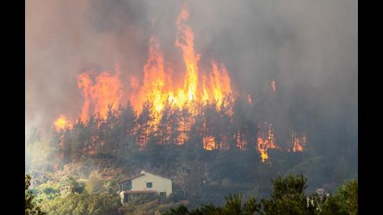 Wildfires in Turkey (Shutterstock) Wildfires in Turkey (Shutterstock)