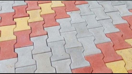 Interlocking tiles were laid on a private pathway at Salina village Moga district from public funds. After a lawyer alleged misuse of government money, Centre told the Punjab officials to conduct an inquiry. (HT photo)