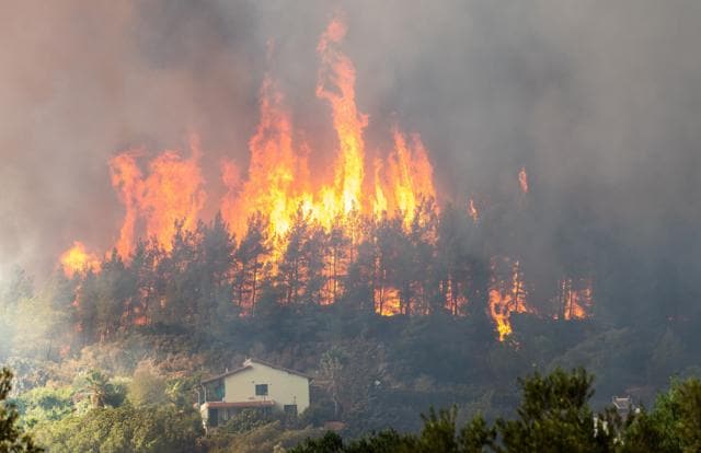 Wildfires in Turkey (Shutterstock) Wildfires in Turkey (Shutterstock)