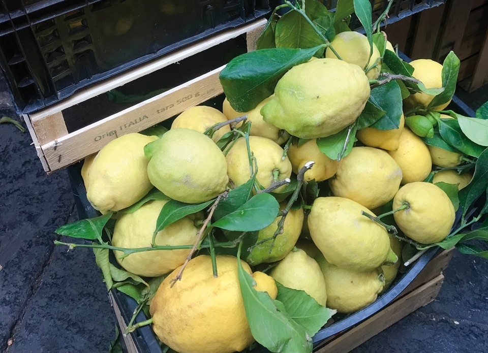 The gorgeous Amalfi lemons(Photo by Natasha Celmi)