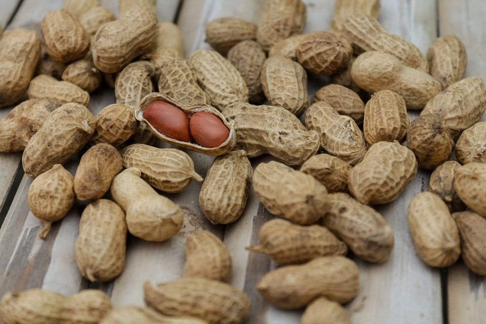 Peanuts (Pixabay)