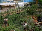 The greenhouse yard of Abdul Rashid Dostum's Kabul mansion. The greenhouse yard of Abdul Rashid Dostum's Kabul mansion.