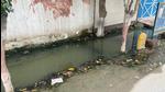 Sewage water accumulated outside a residential colony in Sector 35 of Faridabad, which is causing contaminated supply in taps, according to residents. (Sourced) Sewage water accumulated outside a residential colony in Sector 35 of Faridabad, which is causing contaminated supply in taps, according to residents. (Sourced)