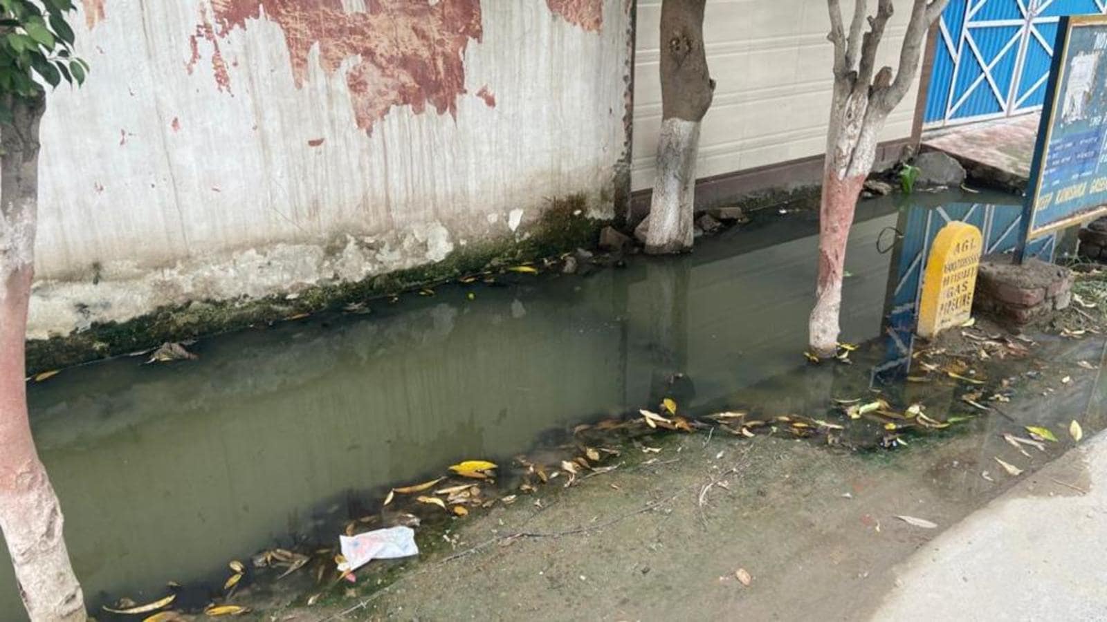 Faridabad Ashoka Enclave3 residents allege contaminated water supply