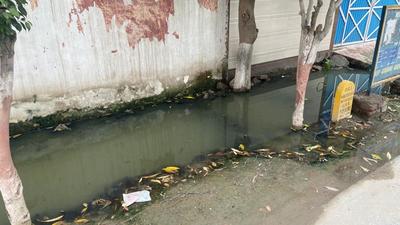 Sewage water accumulated outside a residential colony in Sector 35 of Faridabad, which is causing contaminated supply in taps, according to residents. (Sourced) Sewage water accumulated outside a residential colony in Sector 35 of Faridabad, which is causing contaminated supply in taps, according to residents. (Sourced)