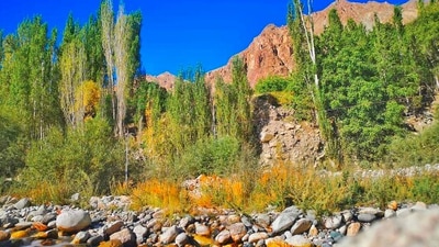 Turtuk: Tourists like staying in Diskit village for the scenic views and its high altitude. If you want some quietness then you should visit Turtuk which is a small village with a rich history. It is 5 hours, 30 minutes away from Leh. (Unsplash)