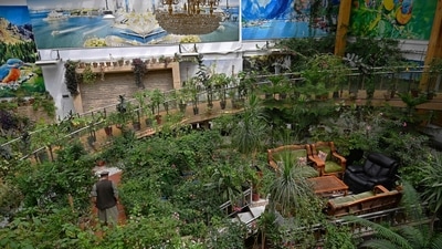 The greenhouse yard of Abdul Rashid Dostum's Kabul mansion. (AFP) The greenhouse yard of Abdul Rashid Dostum's Kabul mansion. (AFP)