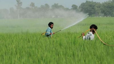 Fertiliser was being made without permission and spurious stock kept in warehouse that has now been sealed, said Ludhiana chief agriculture officer. (HT photo)