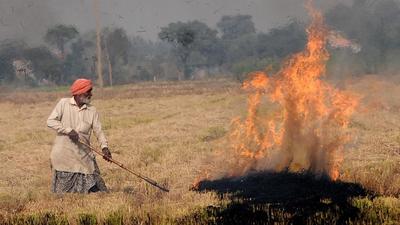 A farmer burning paddy stubble at a village in Punjab’s Patiala district. (HT photo)