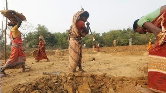 An Indian farmer earned <span class='webrupee'>₹</span>27 per day on average from cultivation in 2018-19. This is less than what he would have earned doing MGNREGS work through the year. (Reuters)