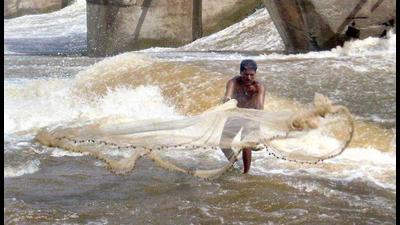 A total of 135 fishermen across coastal districts in Maharashtra were compensated, with the total coming to Rs20 lakh A total of 135 fishermen across coastal districts in Maharashtra were compensated, with the total coming to Rs20 lakh