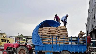 In the Sultanpur Lodhi wheat scam, Punjab vigilance is likely to have an investigation that relooks at all previous probe points. (HT PHOTO FOR REPRESENTATIVE PURPOSES ONLY) In the Sultanpur Lodhi wheat scam, Punjab vigilance is likely to have an investigation that relooks at all previous probe points. (HT PHOTO FOR REPRESENTATIVE PURPOSES ONLY)