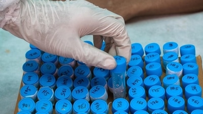 An official in Haryana said people were being made aware of dengue and malaria and ways to control them. (Representative image) An official in Haryana said people were being made aware of dengue and malaria and ways to control them. (Representative image)