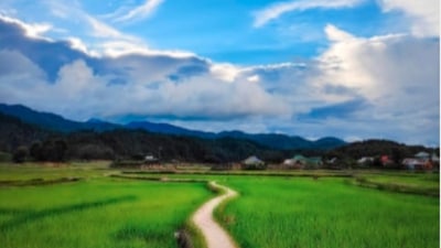 Ziro village, Arunachal Pradesh: Located in the Ziro valley of Arunachal Pradesh, this exotic village has a lot in store for anyone looking for some adventure in the hills. Experience the tribal life and learn about the culture of the Apatani tribe of Ziro valley. (Instagram/@trebbymate)