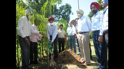 Lt Gen JS Dhillon (retired) and others planting a sapling on the occasion of Van Mahotsav at the Defence Services Officers’ Institute in Sector 36, Chandigarh, on Wednesday. (Ravi Kumar/HT)