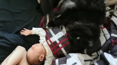 The image shows a cat and a cute baby. (Jukin Media)