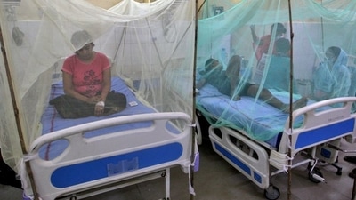 Dengue-infected patients sit under the mosquito nets after being hospitalised at Tej Bahadur Sapru Hospital in Prayagraj, in the northern state of Uttar Pradesh, India. (REUTERS)