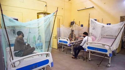 Out of these 97 cases, around nine dengue patients are admitted to hospitals at present. Saran told ANI, "The cases are likely to increase in the city because they are increasing in the whole state. Despite having recorded 97 cases in Prayagraj, the district has not reported any death due to dengue so far." (PTI) Out of these 97 cases, around nine dengue patients are admitted to hospitals at present. Saran told ANI, "The cases are likely to increase in the city because they are increasing in the whole state. Despite having recorded 97 cases in Prayagraj, the district has not reported any death due to dengue so far." (PTI)