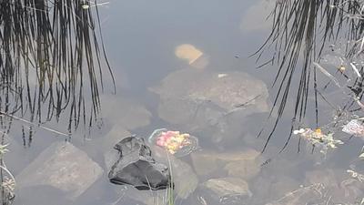An immersed idol at a quarry on Vetal Tekdi. Forest dept threatens action over idol immersion. (HT)