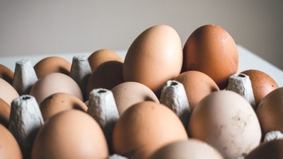 Consumers could see higher prices for organic eggs at a time when conventional eggs are also rising on increased retail demand (Unsplash)