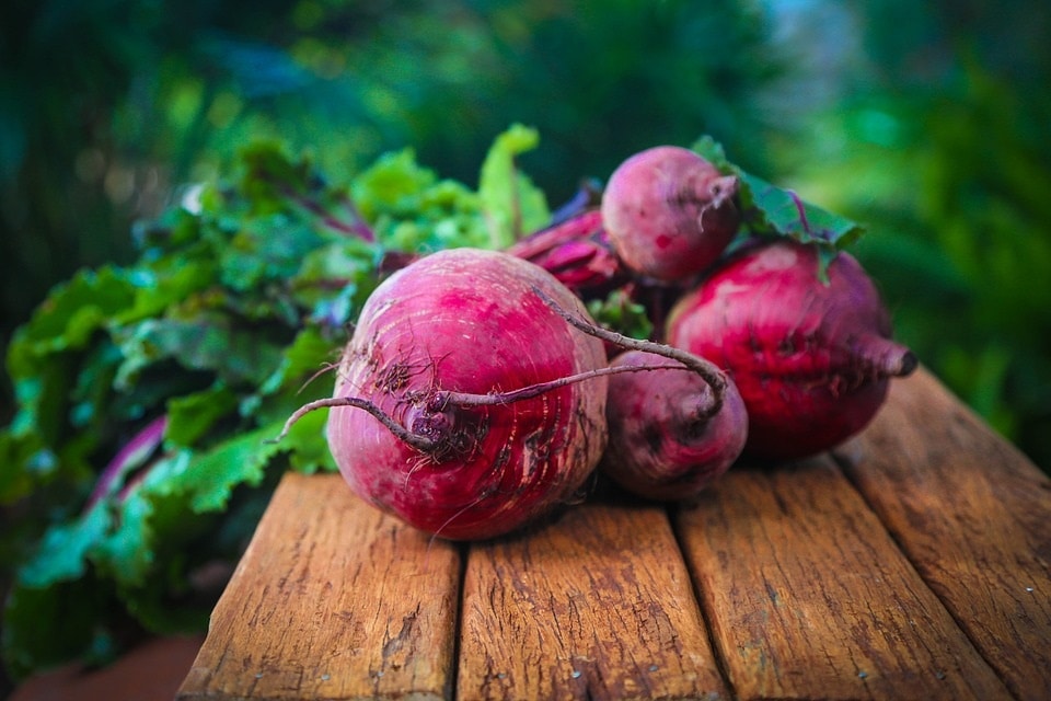 Beetroot(Pixabay)