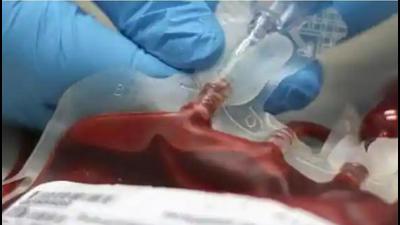 Illegal blood supply racket busted, doctor and aide in police net Illegal blood supply racket busted, doctor and aide in police net