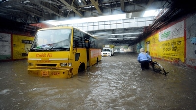 Roads waterlogged, lanes submerged in several parts of the city due to incessant rains in Lucknow. (ANI)