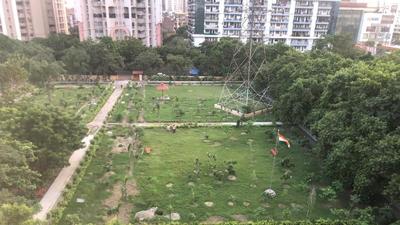“We have been asked to clear the area by cutting nearly 70-80 trees in Vaishali Sector 4 on Saturday,” said a GMC official, requesting anonymity. (Sourced) “We have been asked to clear the area by cutting nearly 70-80 trees in Vaishali Sector 4 on Saturday,” said a GMC official, requesting anonymity. (Sourced)
