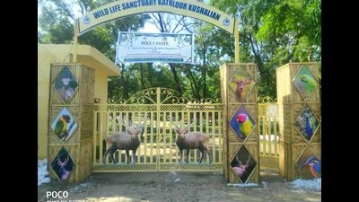 Pathankot’s Kathlaur Kushlian Wildlife Sanctuary thrown open to tourists Pathankot’s Kathlaur Kushlian Wildlife Sanctuary thrown open to tourists