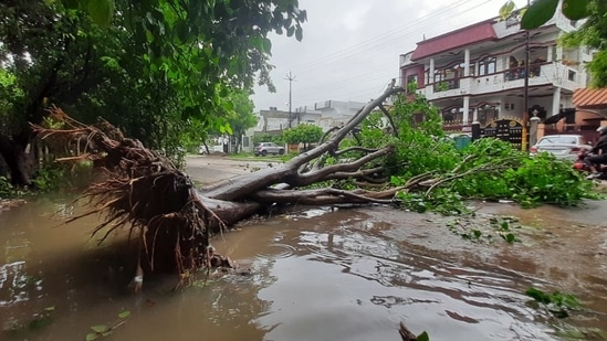 Telecom services were disrupted as rain lashed several parts of Uttar Pradesh on Thursday.(HT Photo/Deepak Gupta)