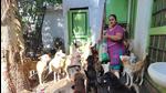 Namrata Hakhoo with the rescued dogs at her house in Hakkal village near Chatha on the outskirts of Jammu city. (HT Photo) Namrata Hakhoo with the rescued dogs at her house in Hakkal village near Chatha on the outskirts of Jammu city. (HT Photo)