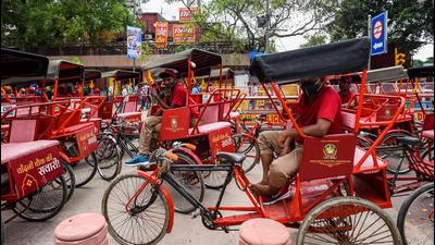 These colour-coded rickshaws are driven by people who have been given a licence by the North MCD. Going forward, only these licensed rickshaws will be allowed to operate on the stretch. (Amal KS/HT PHOTO) These colour-coded rickshaws are driven by people who have been given a licence by the North MCD. Going forward, only these licensed rickshaws will be allowed to operate on the stretch. (Amal KS/HT PHOTO)