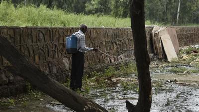 A field worker spraying for mosquitoes. According to the officials, the two fresh cases were reported from the district hospital in Sector 30. Out of the total 13 dengue patients in the district since September 6, 2021, only one patient is under treatment at the district hospital. (HT Archive) A field worker spraying for mosquitoes. According to the officials, the two fresh cases were reported from the district hospital in Sector 30. Out of the total 13 dengue patients in the district since September 6, 2021, only one patient is under treatment at the district hospital. (HT Archive)