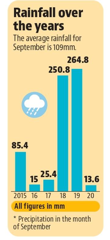The present spell of rainfall is in no way harmful for the paddy crop, says an expert. (HT Photo)